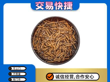 新余分宜县高价回收散虫草